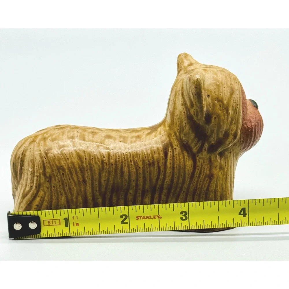 Toscany yorkie terrier